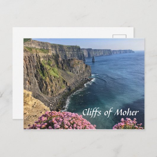 Cliffs of Moher, Ireland, Flowers, Briefkaart (Voorkant / Achterkant)