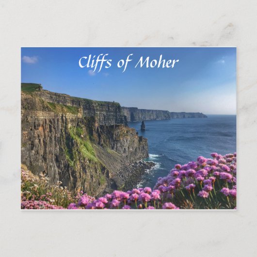 Cliffs of Moher, Ireland, Flowers Briefkaart (Voorkant)