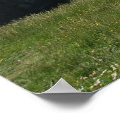 Cliffs of Moher Poster (Hoek)