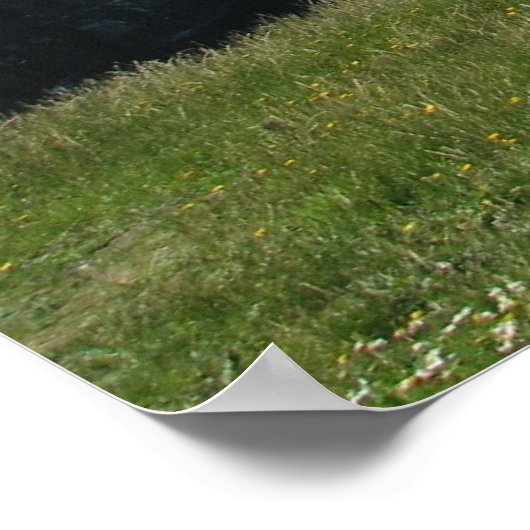 Cliffs of Moher Poster (Hoek)