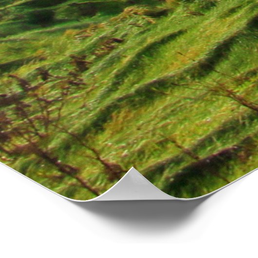 Cliffs of Moher - South Uitzicht 1 Poster (Hoek)