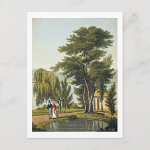Clifton, from 'The Naturama, or, Nature's Endless Briefkaart