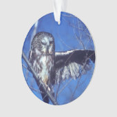 Cligner de l'oeil le hibou (devant)