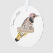 Clignotement du nord (devant)