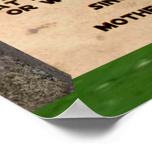 Climate Change Poster (Hoek)