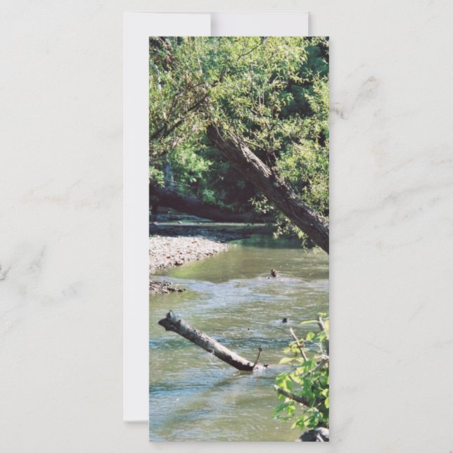 Clinch River Schilderachtig (Voorkant)