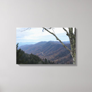 Clingmans Dome Smoky Mountains Canvas Afdruk