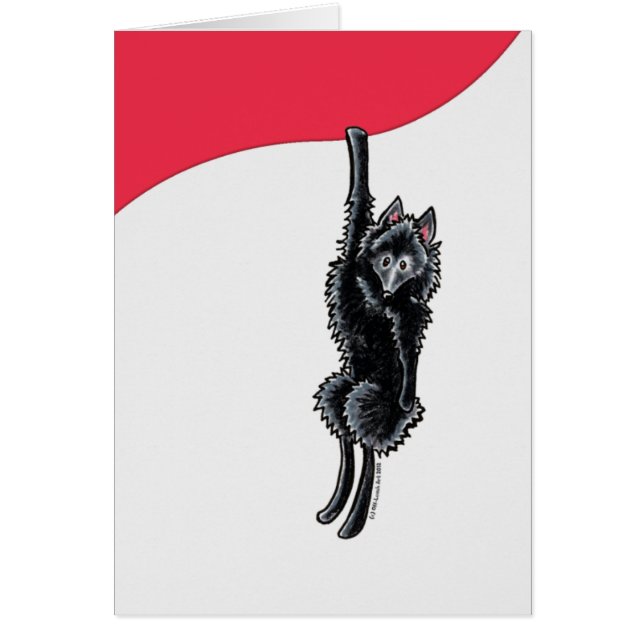 Clingy Schipperke (Voorkant)