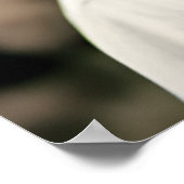 Clint Eastwood Poster (Hoek)