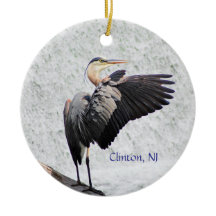 Clinton, NJ Great Blue Heron