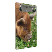 CLIPBOARD KUSTPIG MINI KLEMBORD (Schuin)