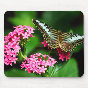 Clipper op Pentas 1 Mousepad Muismat