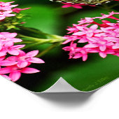 Clipper op Pentas 1 Print (Hoek)