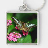 Clipper op Pentas 1 Sleutelhanger (Voorkant)