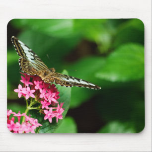 Clipper op Pentas 2 Mousepad Muismat