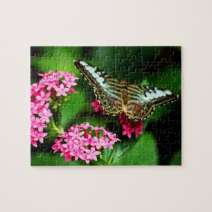 Clipper sur Pentas 1 Puzzle