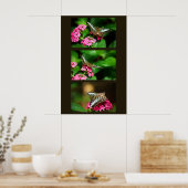 Clipper sur Pentas (Portrait) Impression (Cuisine)