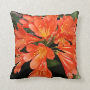 Clivia Miniata - de Oranje prachtige ventilator Kussen