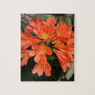 Clivia Miniata - de Oranje prachtige ventilator Legpuzzel