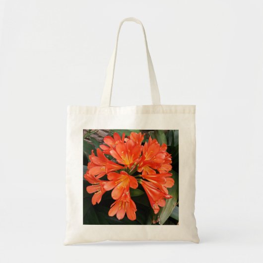 Clivia Miniata - de Oranje prachtige ventilator Tote Bag (Voorkant)