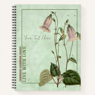 Cloches célestes : Carnet de Hanabusaya asiatica