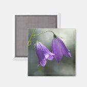 cloches de secrets aimant (Recto/Verso)