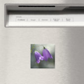 cloches de secrets aimant (In Situ (Lave-vaisselle))