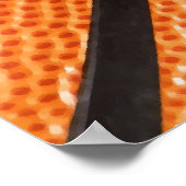 Close-up Basketbal Poster (Hoek)