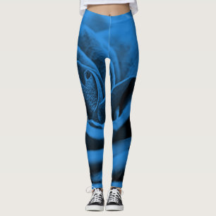 Close-up blauw rood roos, macro schoonheid. leggings