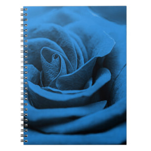 Close-up blauw rood roos, macro schoonheid. notitieboek