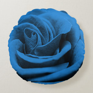 Close-up blauw rood roos, macro schoonheid. rond kussen