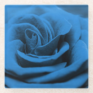 Close-up blauwe rode roos, macro schoonheid. glazen onderzetter