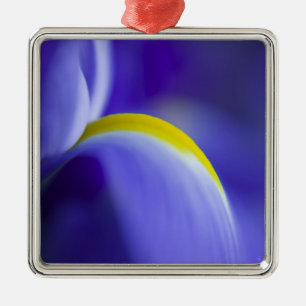 Close-up detail van een Blue Flag iris. Metalen Ornament