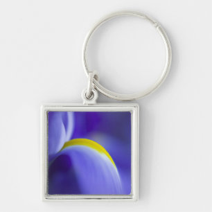 Close-up detail van een Blue Flag iris. Sleutelhanger
