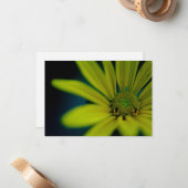 Close-up Gele Wildflower Notitiekaartje (Voorkant / Achterkant in situ)