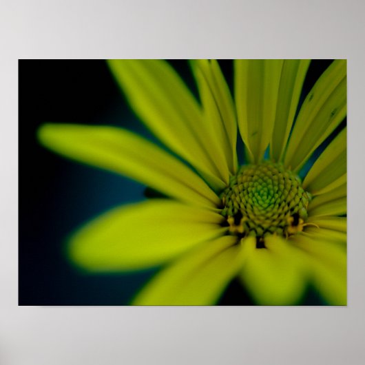 Close-up Gele Wildflower Poster (Voorkant)