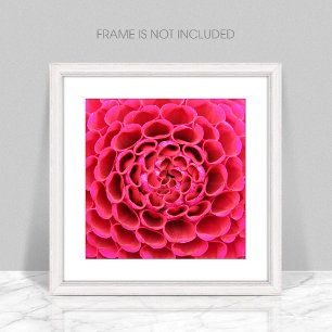 Close-up Hot Pink Flower Fotovergroting Foto Afdruk