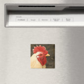 Close-up Magneet (Insitu (Vaatwasser))