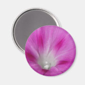 Close-up Morning Glory Magnet Magneet (Voorkant / Achterkant)