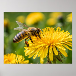 Close Up of a Honeybee Collecting Nectar Poster