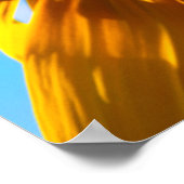 Close-up of a sunflower poster (Hoek)