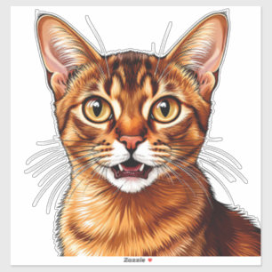 Close-up oranje tabby Abessijnse kat portret Sticker