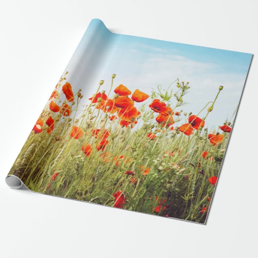 Close up poppies on field. Wild flowers in springt Cadeaupapier (Uitgerold)