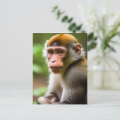 Close-up Portret van een Aap Briefkaart (Staand voorkant)