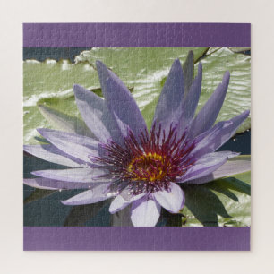 Close-up puzzel: Paarse lotusbloem Legpuzzel