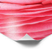 Close-up roze bloem foto afdrukken afdruk (Hoek)