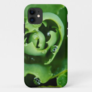 Close-up, sappige plant met waterdruppels iPhone 11 hoesje
