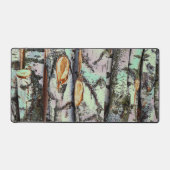 Close-up scene of birch log stumps, rustic charm (Recto)