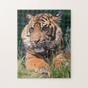 Close-up Tiger Legpuzzel