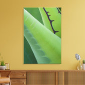 Close-up van agave canvas afdruk (Insitu (Woonkamer))